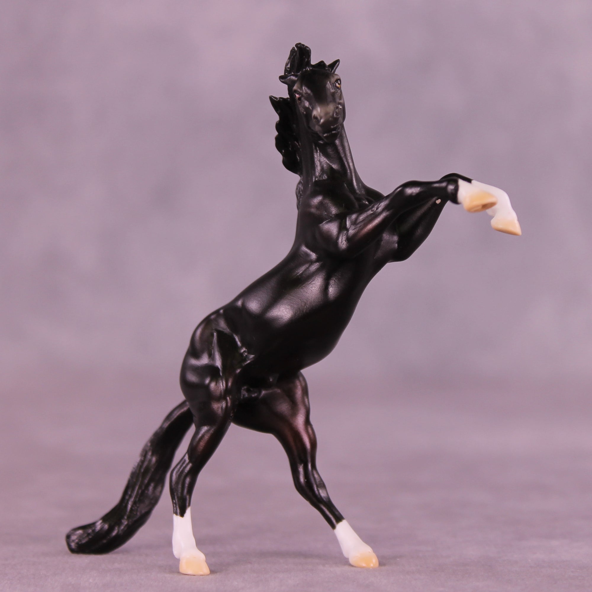 Camillo LE-5 Chip Mustang by Ellen Robbins CL25