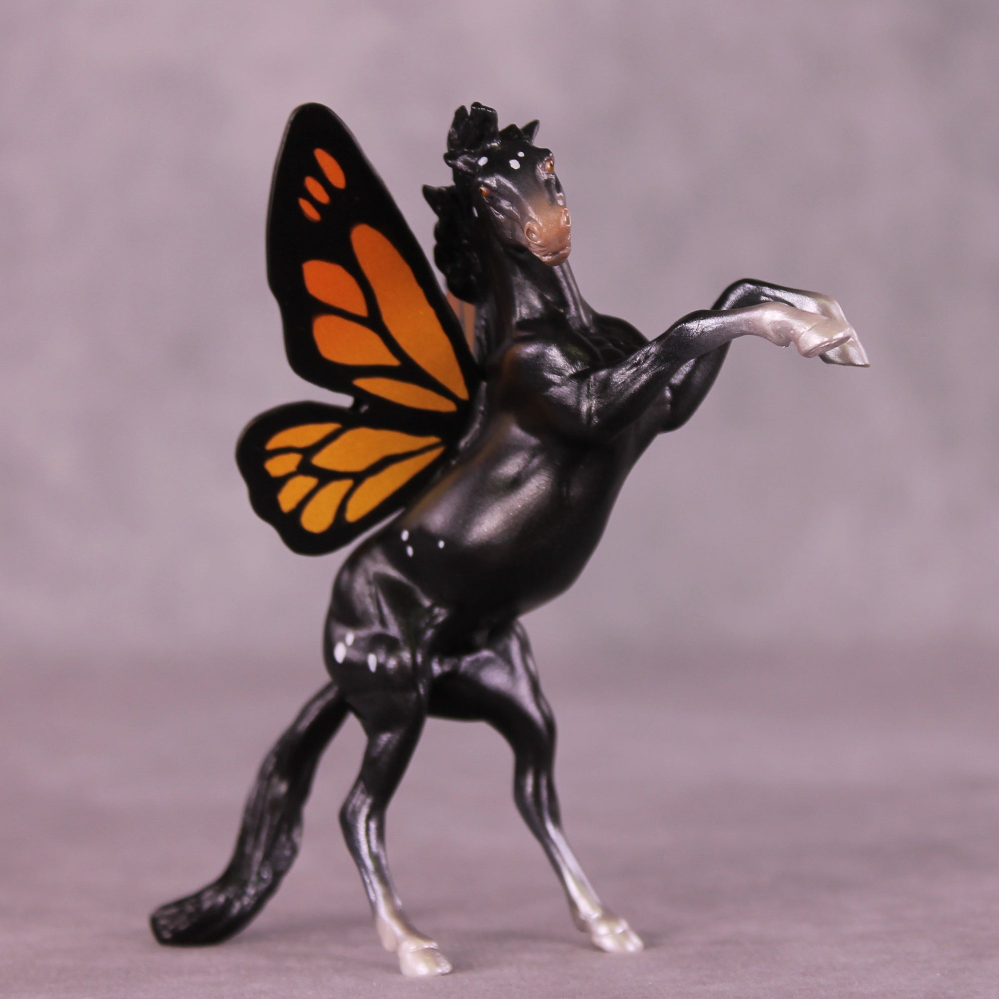 Danaus LE-5 FCM Rearing Chip by Jess Hamill MS25