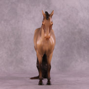 Valiente OOAK FCM Andalusian by Erika Isbell Best Offer 9/23/2025