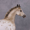 Snow Maiden OOAK Buckskin Appaloosa Yearling By Sheryl Leisure Best Offers 12/10/24