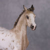 Snow Maiden OOAK Buckskin Appaloosa Yearling By Sheryl Leisure Best Offers 12/10/24