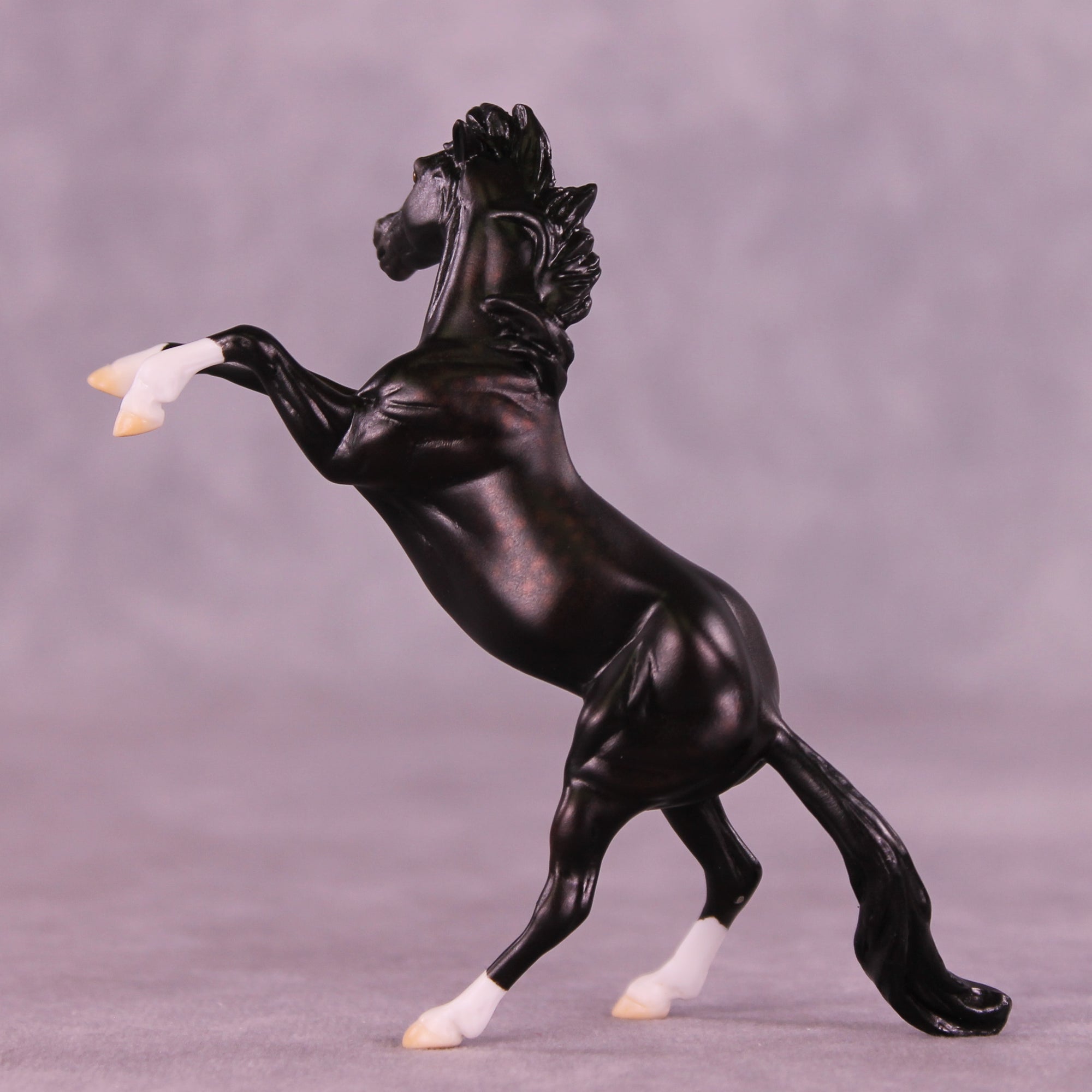 Camillo LE-5 Chip Mustang by Ellen Robbins CL25