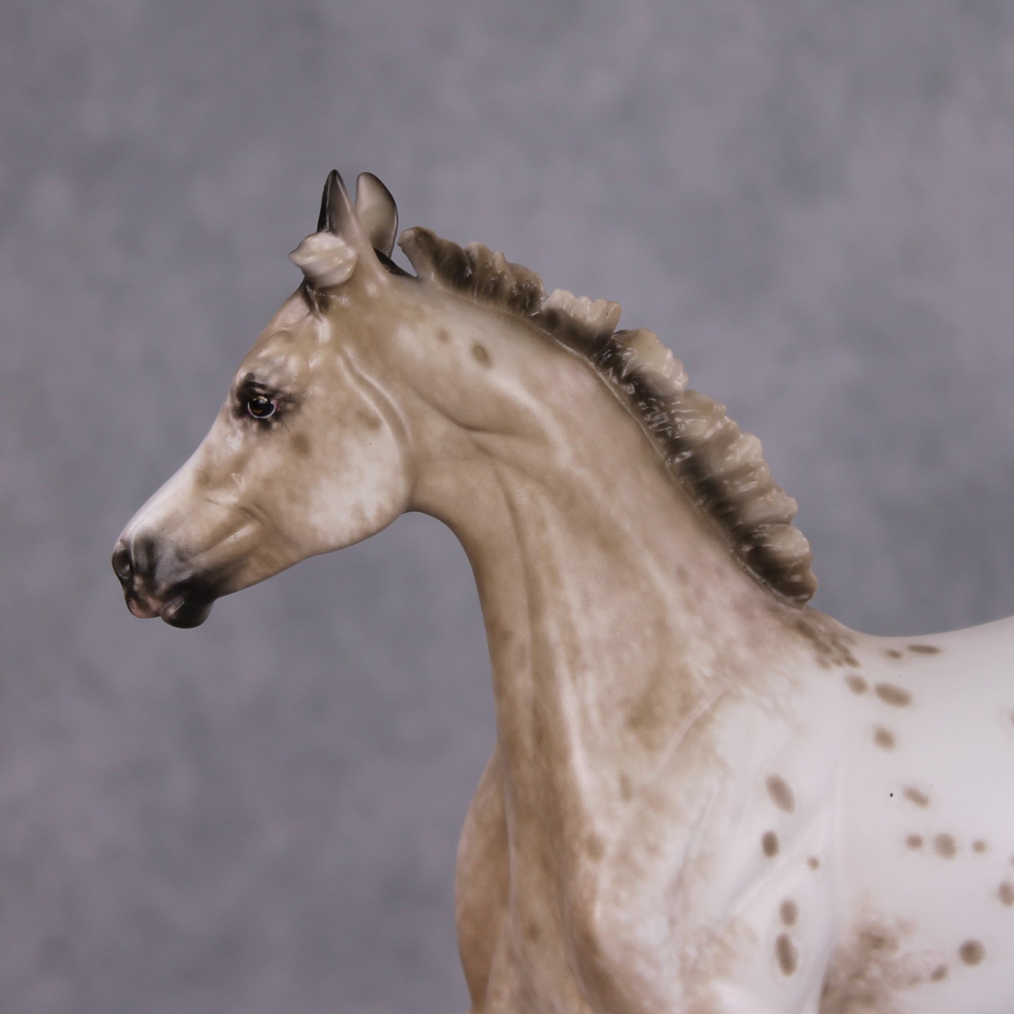 Snow Maiden OOAK Buckskin Appaloosa Yearling By Sheryl Leisure Best Offers 12/10/24