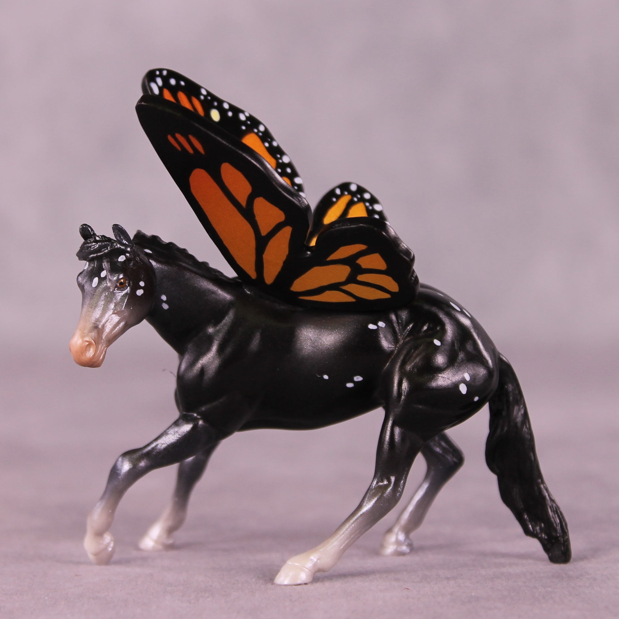 Plexippus LE-5 FCM Cutter Chip by Jess Hamill MS25