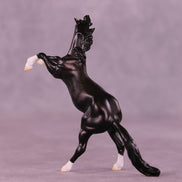 Camillo LE-5 Chip Mustang by Ellen Robbins CL25