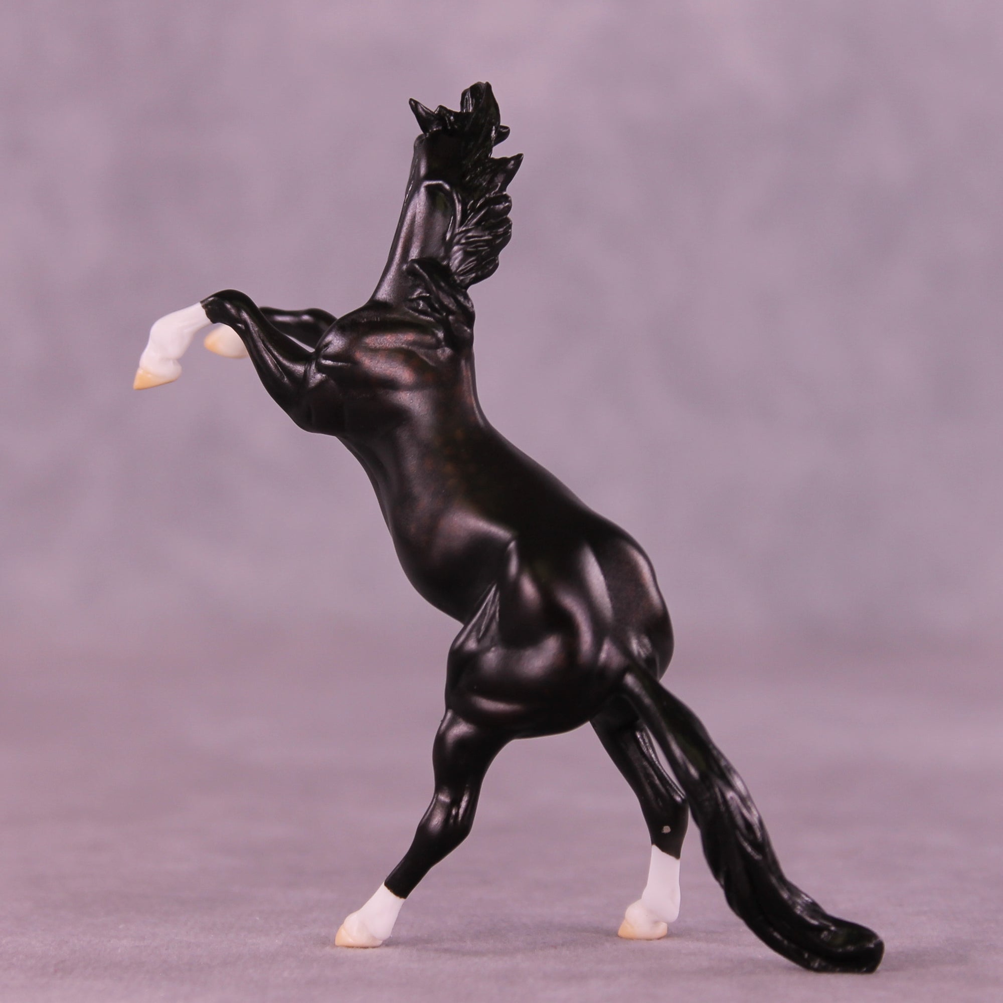 Camillo LE-5 Chip Mustang by Ellen Robbins CL25