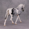 Jimmerson OOAK Dapple Grey Tobiano Extreme Custom Irish Draft to a Cob By Kylee Parks Best Offers 12/10/24