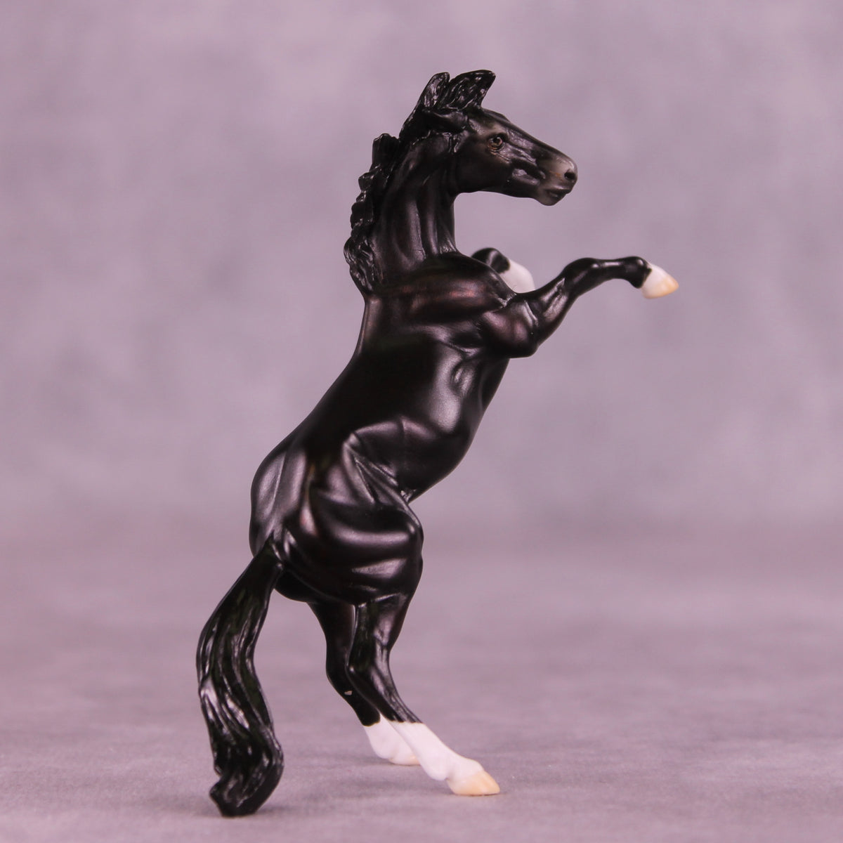 Camillo LE-5 Chip Mustang by Ellen Robbins CL25