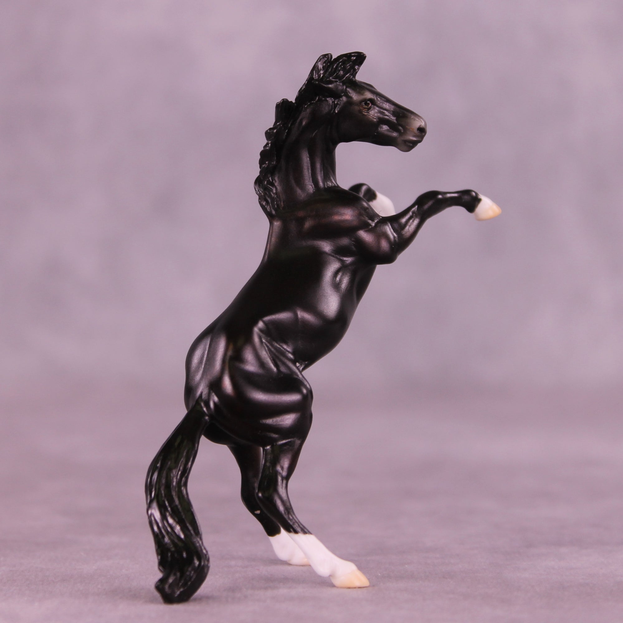 Camillo LE-5 Chip Mustang by Ellen Robbins CL25