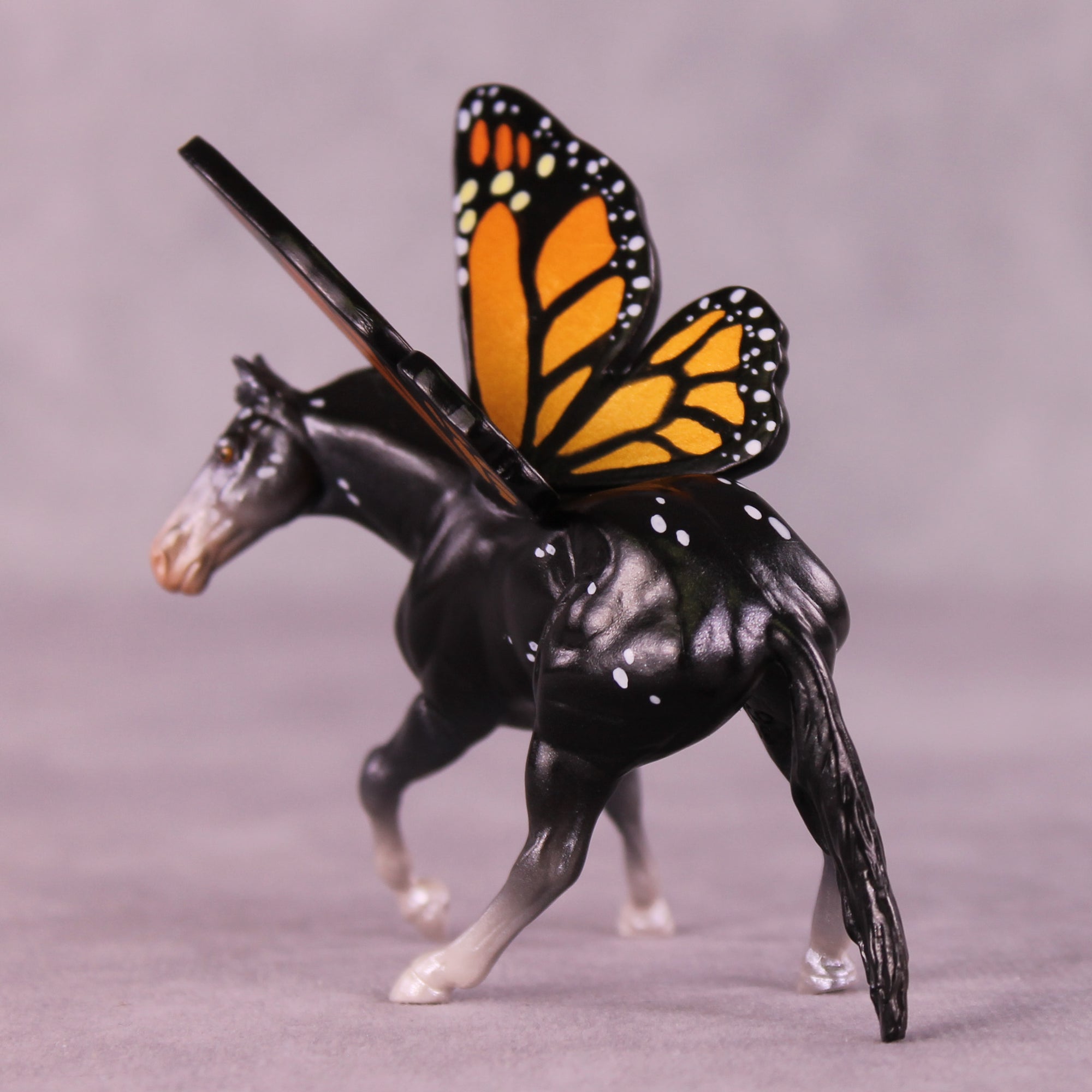 Plexippus LE-5 FCM Cutter Chip by Jess Hamill MS25