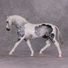 Jimmerson OOAK Dapple Grey Tobiano Extreme Custom Irish Draft to a Cob By Kylee Parks Best Offers 12/10/24