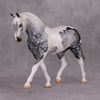 Jimmerson OOAK Dapple Grey Tobiano Extreme Custom Irish Draft to a Cob By Kylee Parks Best Offers 12/10/24