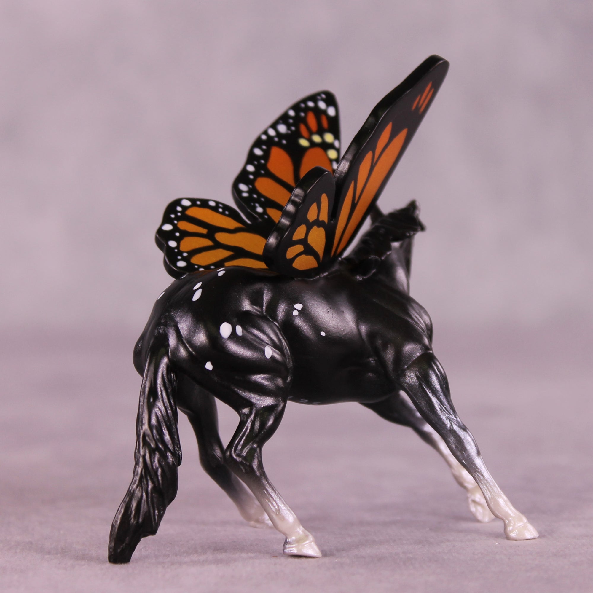 Plexippus LE-5 FCM Cutter Chip by Jess Hamill MS25