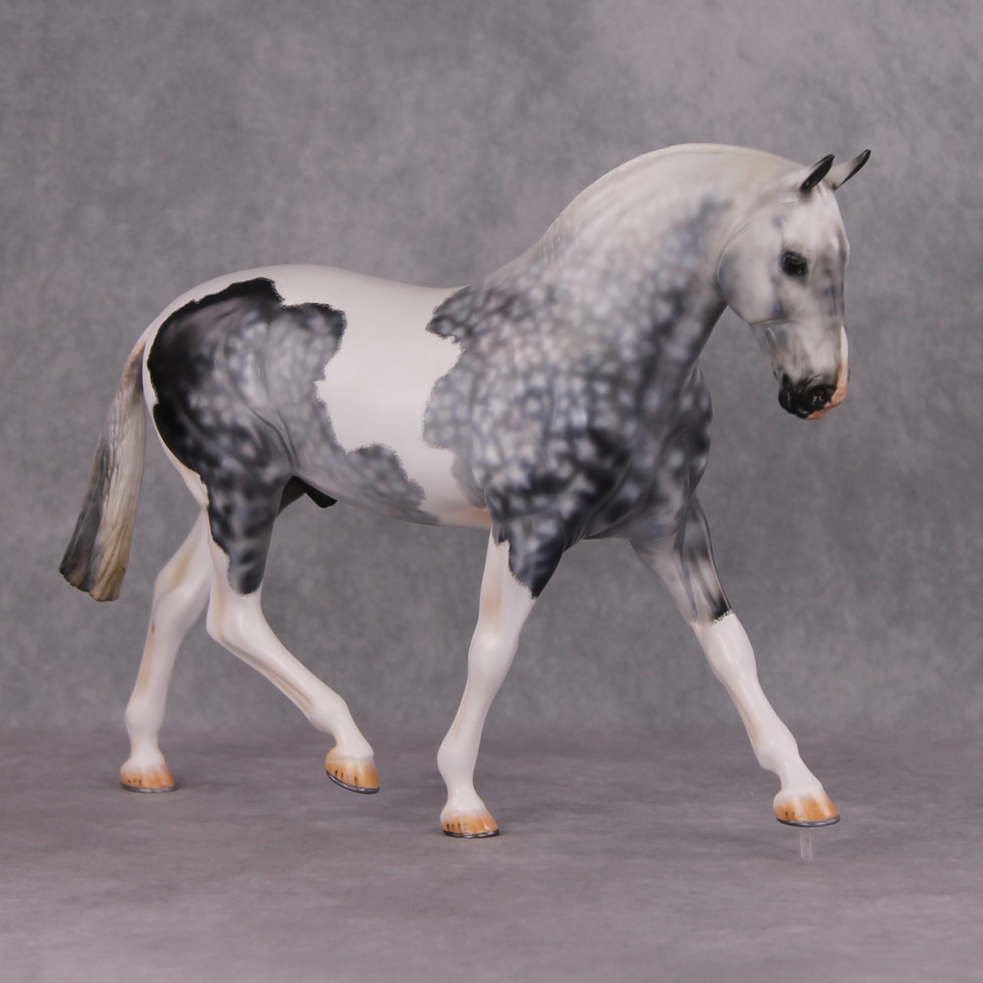 Jimmerson OOAK Dapple Grey Tobiano Extreme Custom Irish Draught to a Cob By Kylee Parks Best Offers 12/10/24