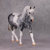 Jimmerson OOAK Dapple Grey Tobiano Extreme Custom Irish Draft to a Cob By Kylee Parks Best Offers 12/10/24