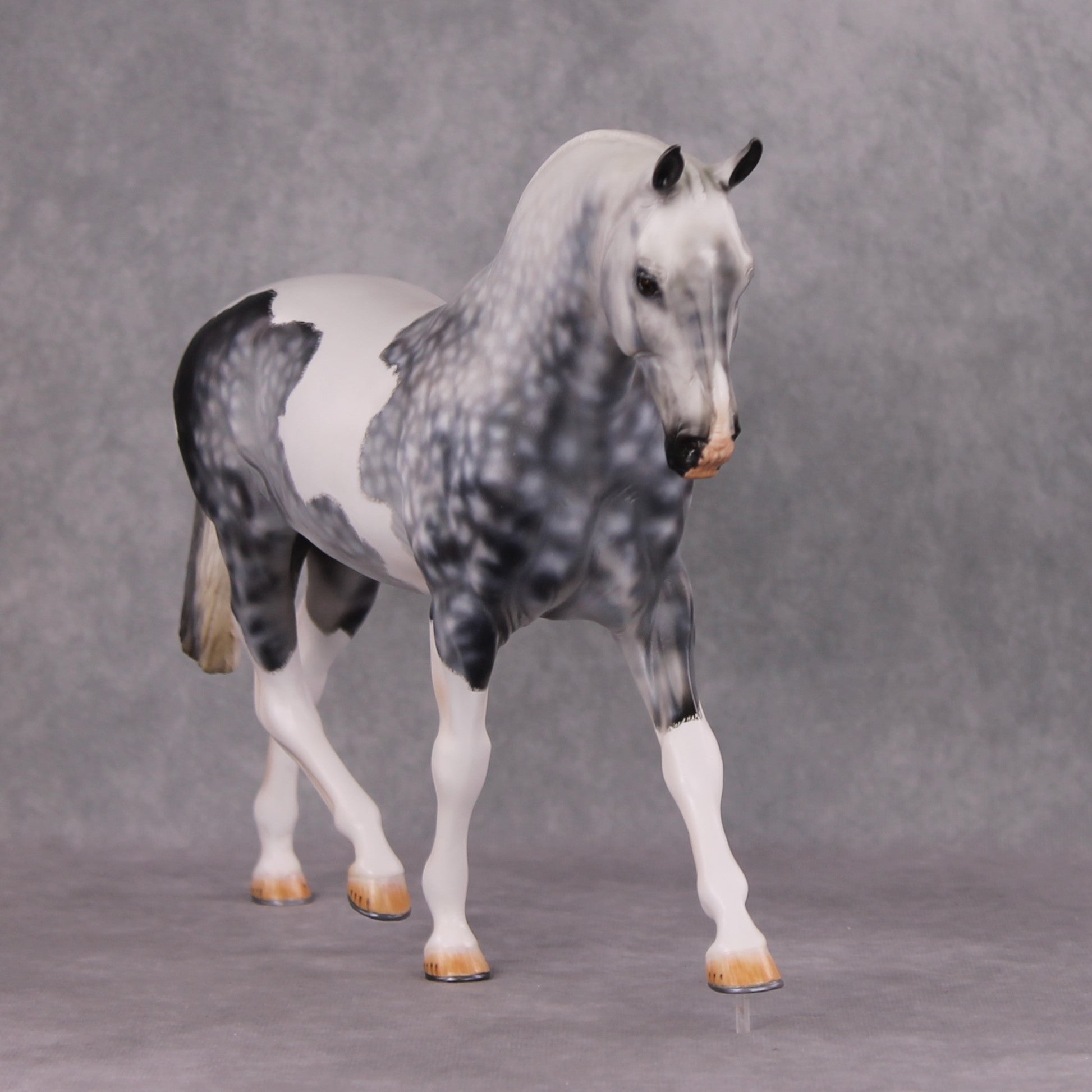 Jimmerson OOAK Dapple Grey Tobiano Extreme Custom Irish Draught to a Cob By Kylee Parks Best Offers 12/10/24