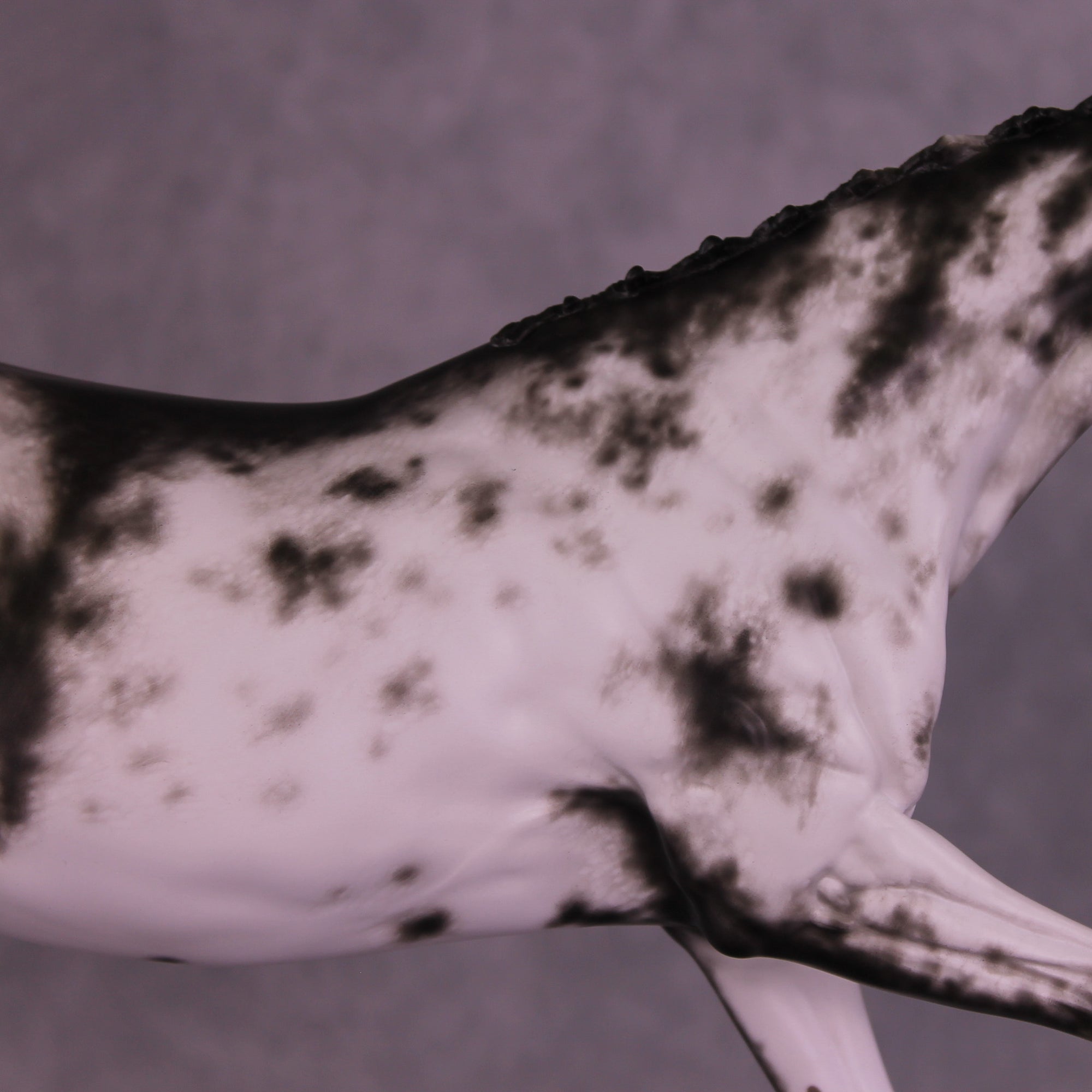 Pixel Dust OOAK FCM Volo by Sheryl Leisure Best Offer 11/18/25