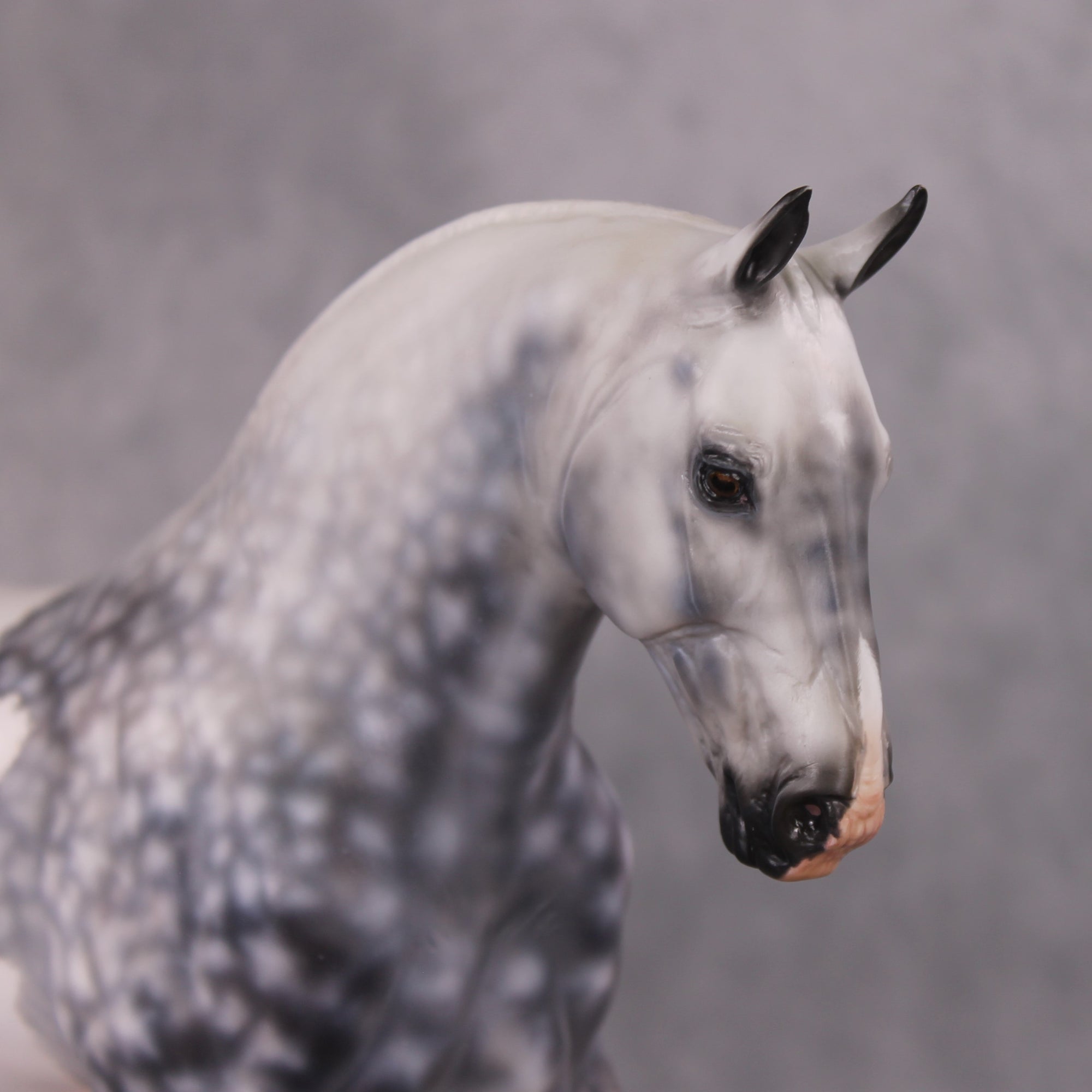 Jimmerson OOAK Dapple Grey Tobiano Extreme Custom Irish Draught to a Cob By Kylee Parks Best Offers 12/10/24