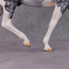 Jimmerson OOAK Dapple Grey Tobiano Extreme Custom Irish Draft to a Cob By Kylee Parks Best Offers 12/10/24