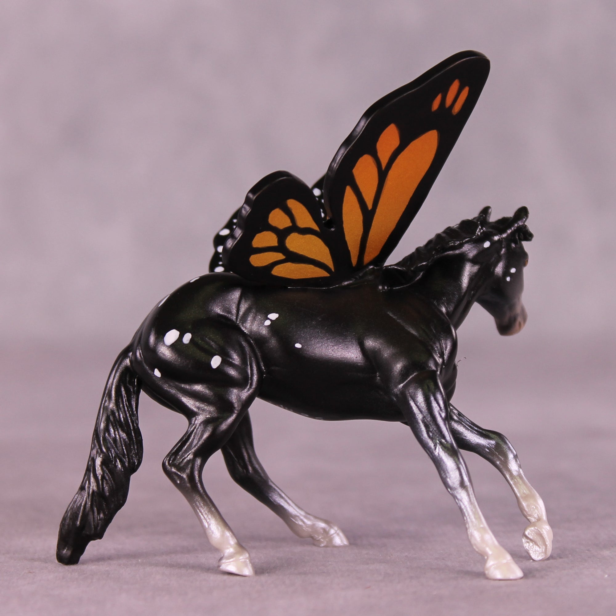 Plexippus LE-5 FCM Cutter Chip by Jess Hamill MS25