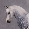 Jimmerson OOAK Dapple Grey Tobiano Extreme Custom Irish Draft to a Cob By Kylee Parks Best Offers 12/10/24