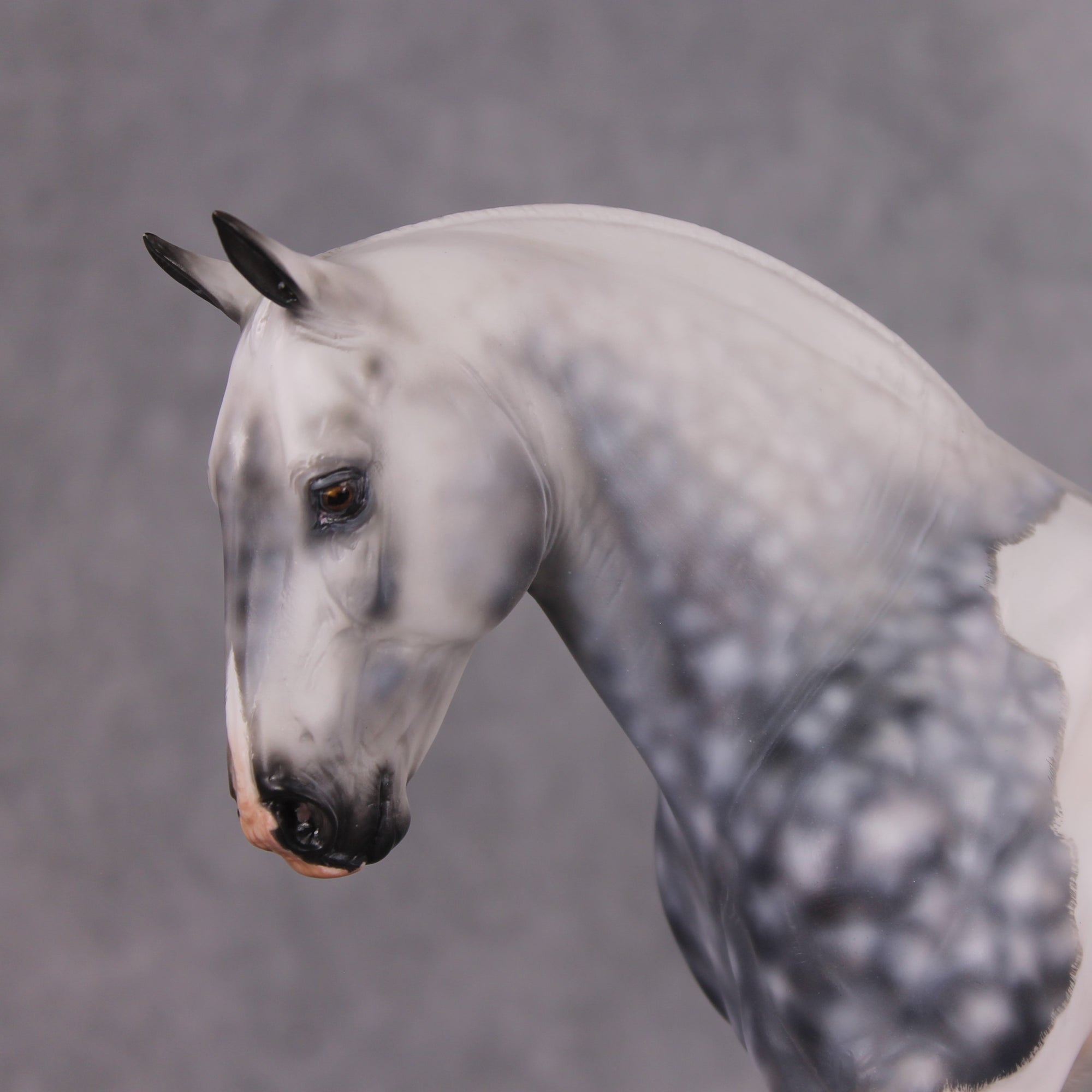 Jimmerson OOAK Dapple Grey Tobiano Extreme Custom Irish Draught to a Cob By Kylee Parks Best Offers 12/10/24