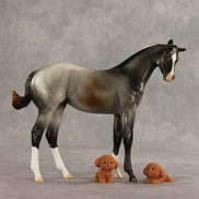Puppy Love LE-15 FCM Stock Horse Weanling by Ashley Palmer VV26