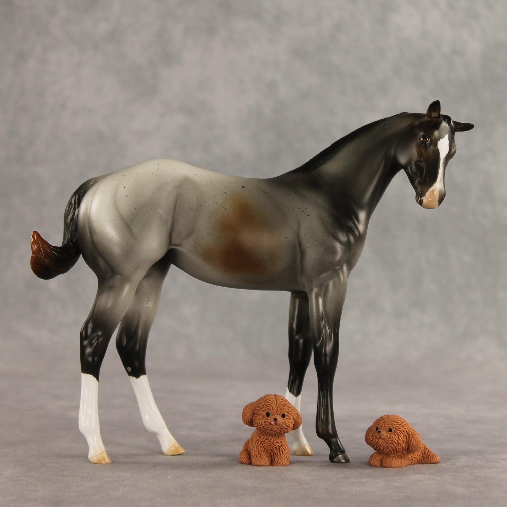 Puppy Love LE-15 FCM Stock Horse Weanling by Ashley Palmer VV26