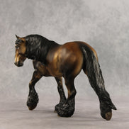 Fabio LE-10 FCM Irish Cob by Julie Keim VV26