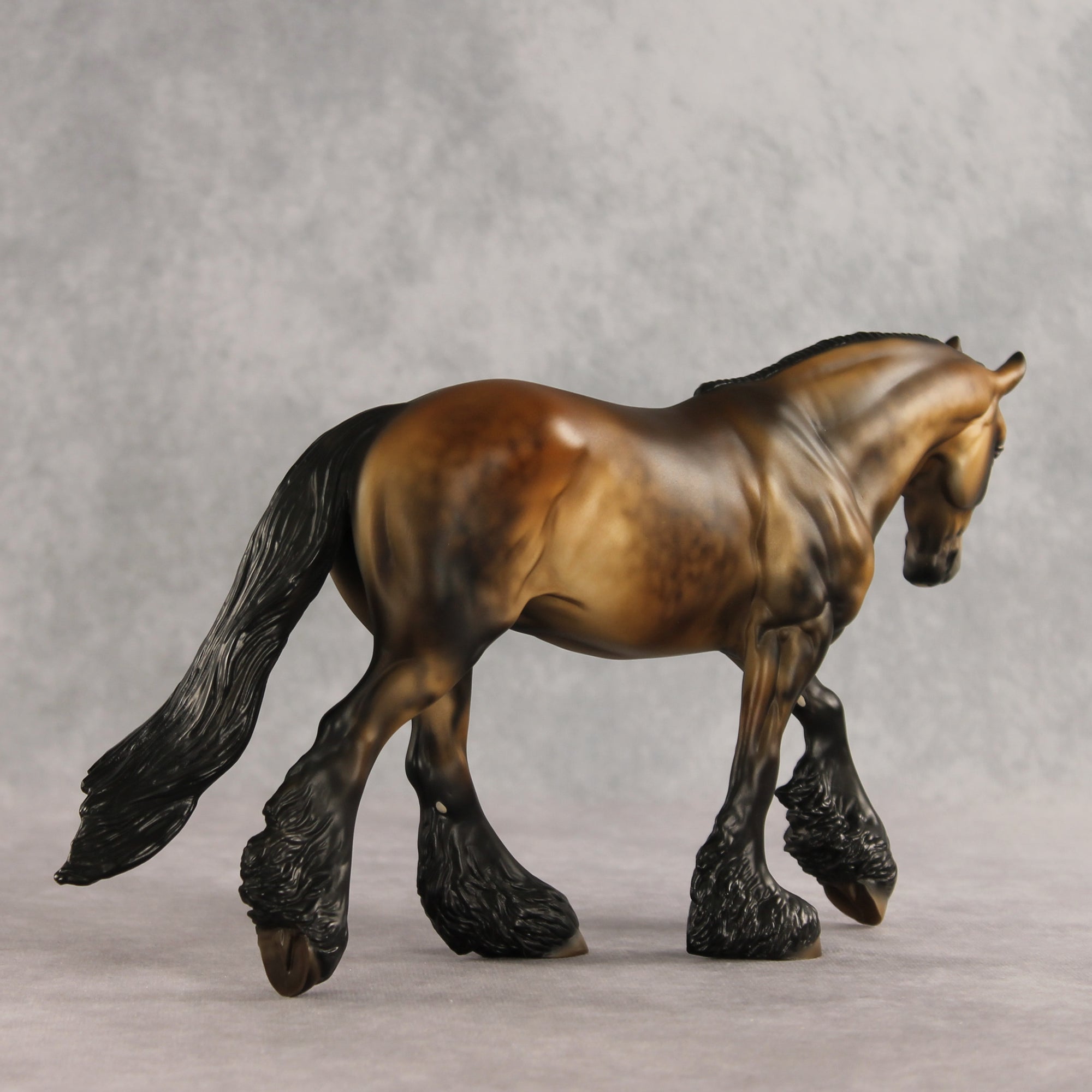 Fabio LE-10 FCM Irish Cob by Julie Keim VV26