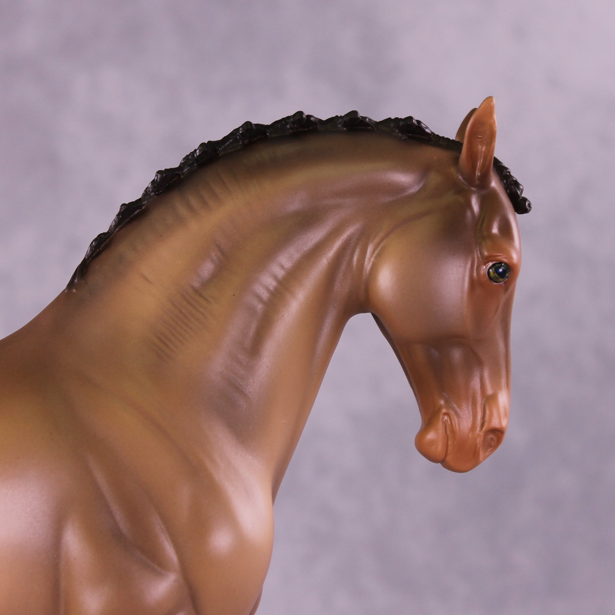 Valiente OOAK FCM Andalusian by Erika Isbell Best Offer 9/23/2025