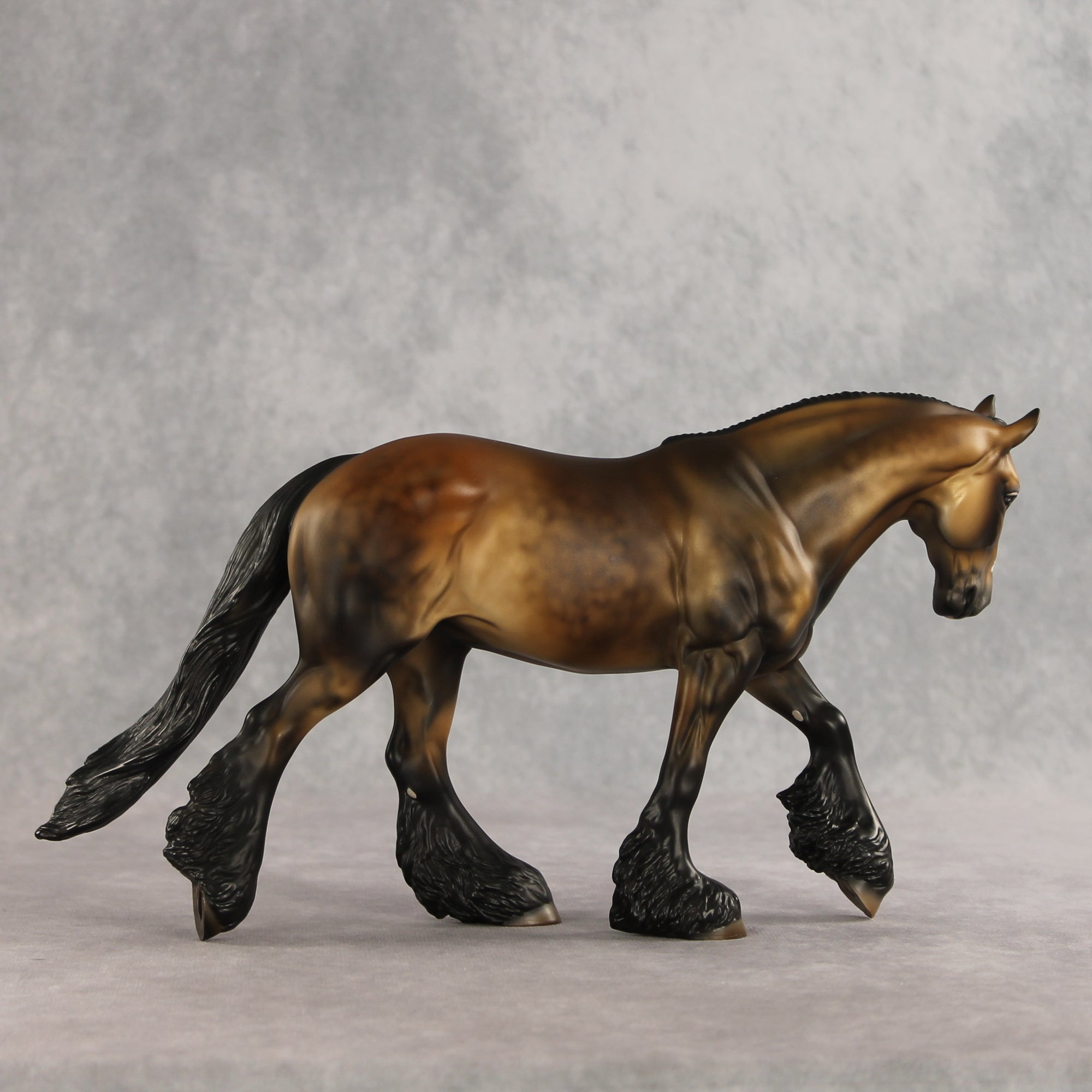 Fabio LE-10 FCM Irish Cob by Julie Keim VV26