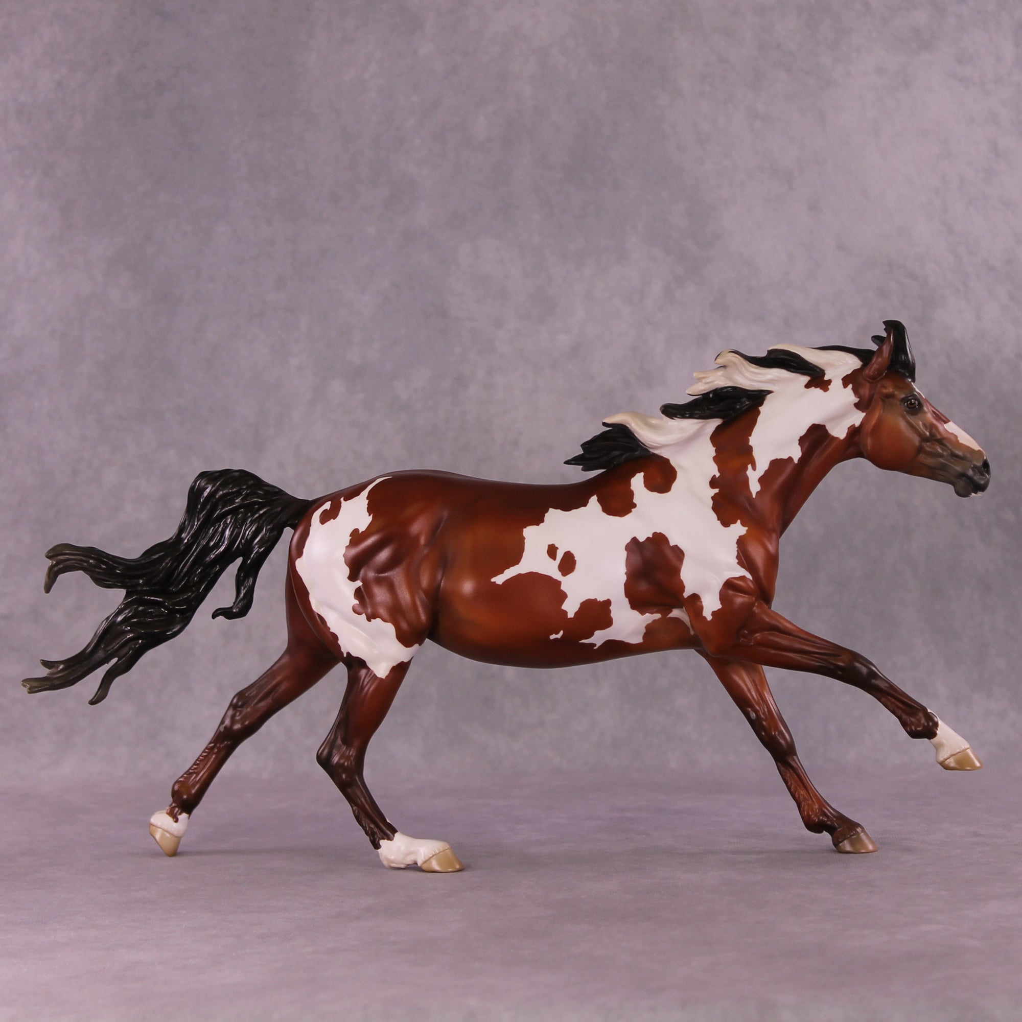 Muse LE-5 FCM Volo by Jess Hamill MS25