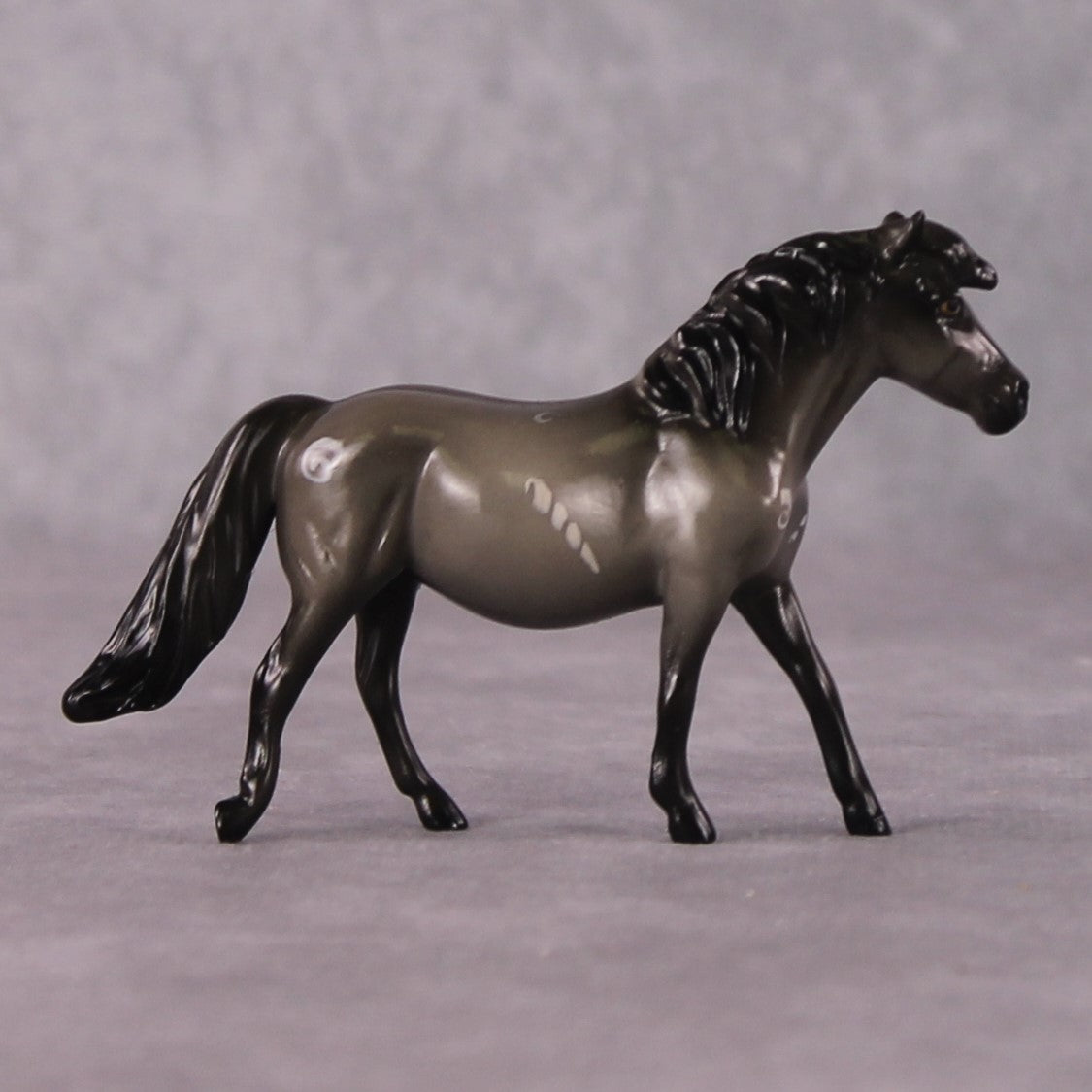 “National Take A Walk in a Park Day” Rock Chips: OOAK Pony Chip based on Snail Fossil by Ellen Robbins