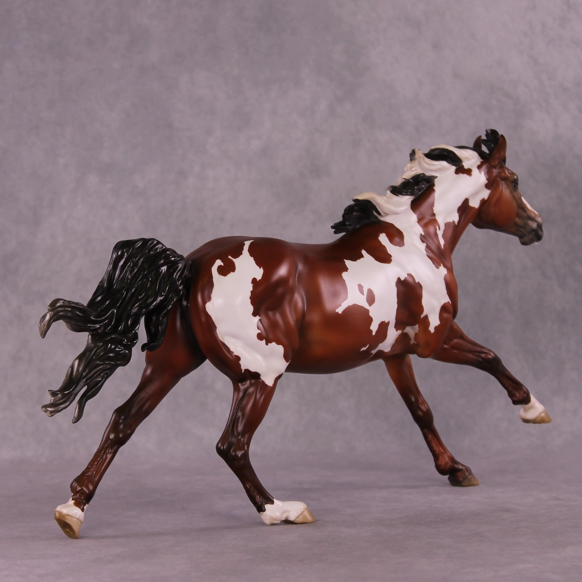 Muse LE-5 FCM Volo by Jess Hamill MS25