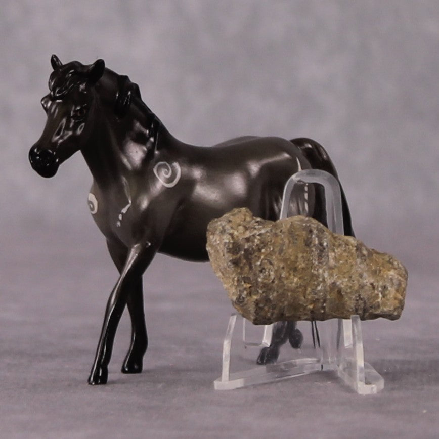 “National Take A Walk in a Park Day” Rock Chips: OOAK Pony Chip based on Snail Fossil by Ellen Robbins