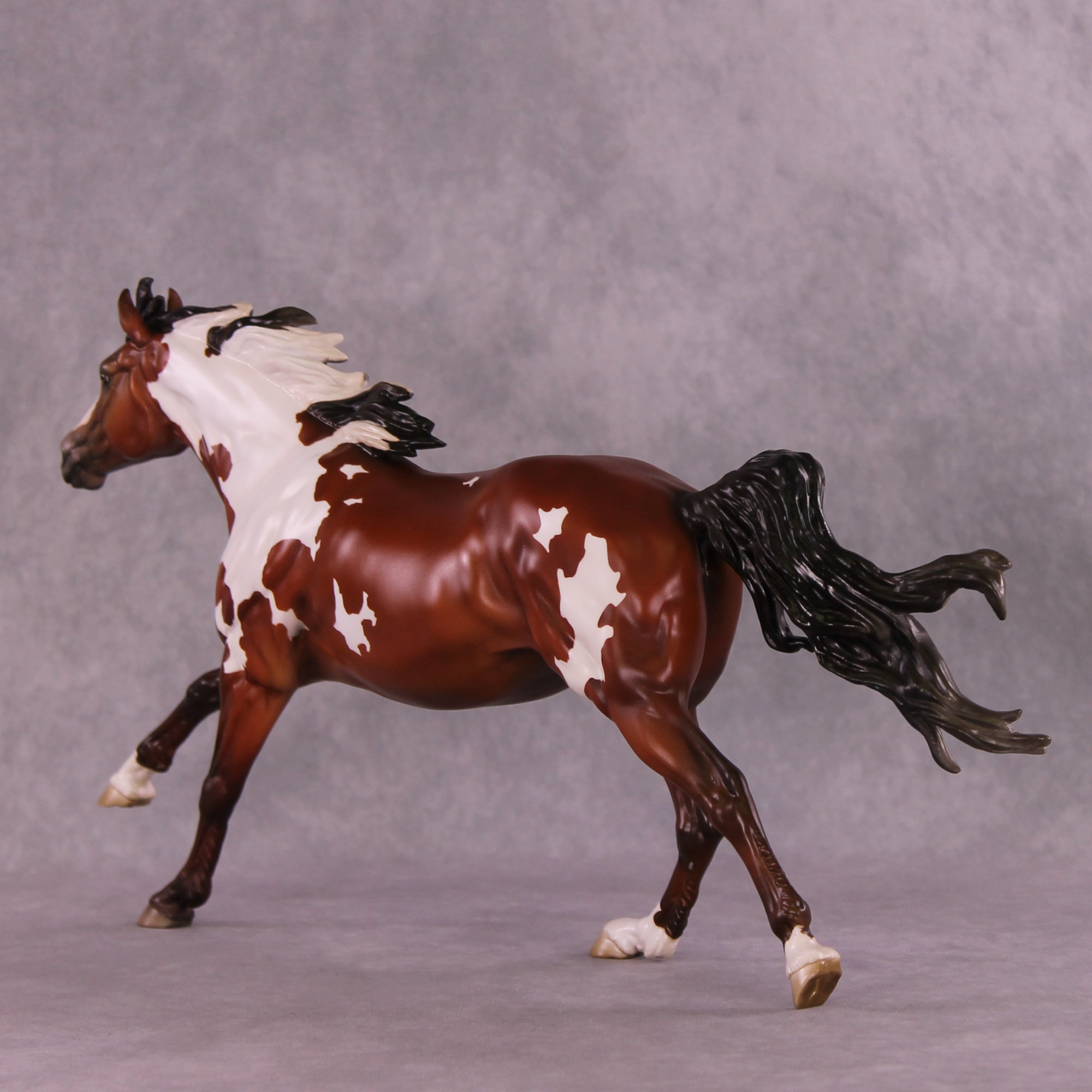 Muse LE-5 FCM Volo by Jess Hamill MS25