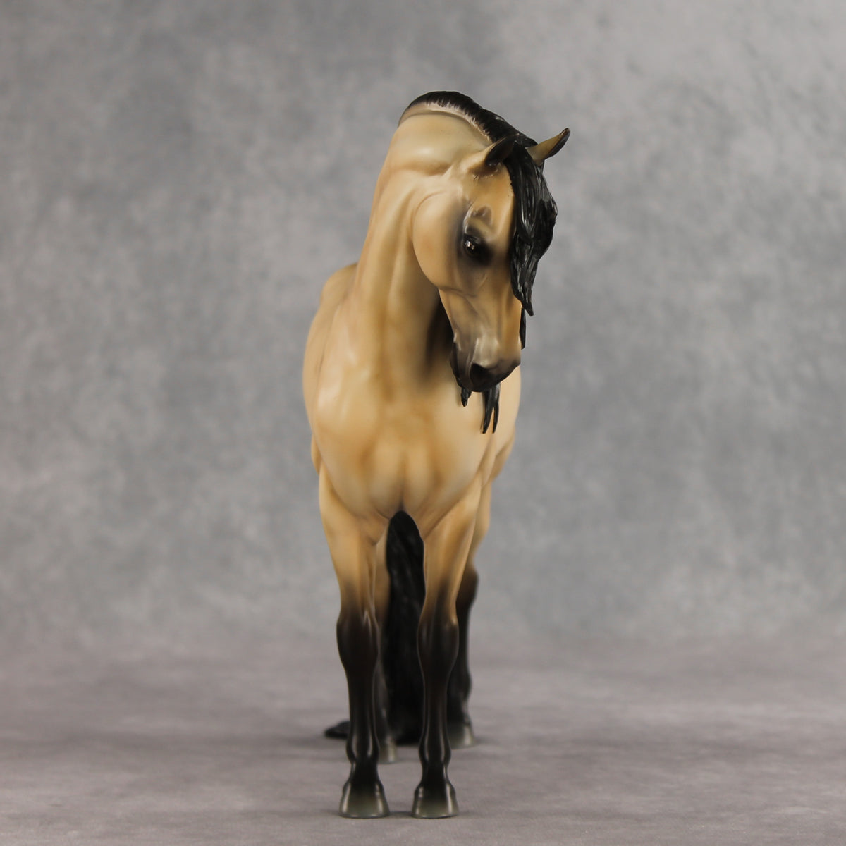 The Perfect Gentleman LE-5 EFCM Andalusian by Melanie Miller VV26