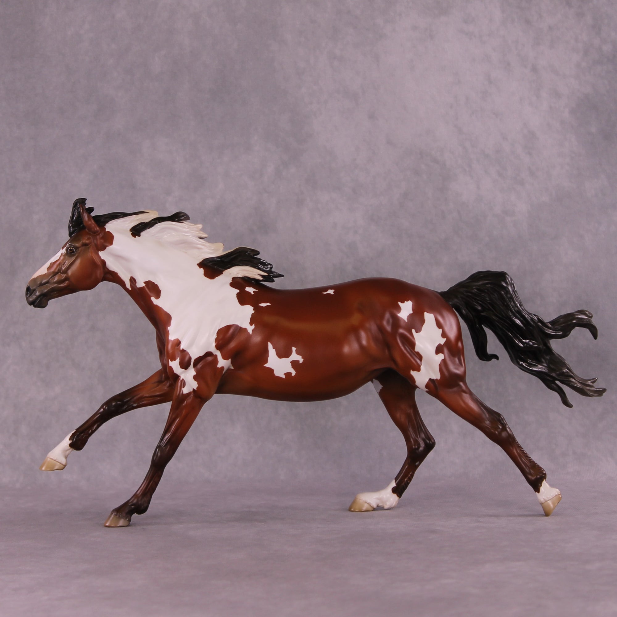 Muse LE-5 FCM Volo by Jess Hamill MS25