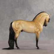The Perfect Gentleman LE-5 EFCM Andalusian by Melanie Miller VV26