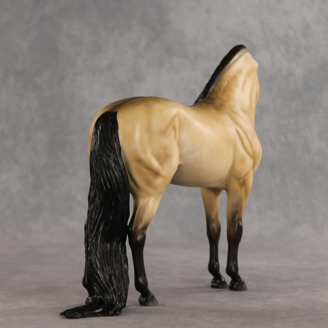 The Perfect Gentleman LE-5 EFCM Andalusian by Melanie Miller VV26