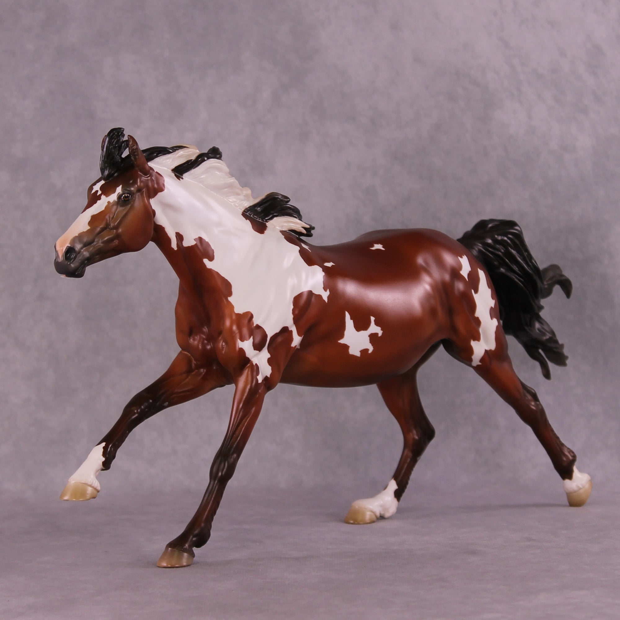 Muse LE-5 FCM Volo by Jess Hamill MS25