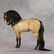 The Perfect Gentleman LE-5 EFCM Andalusian by Melanie Miller VV26