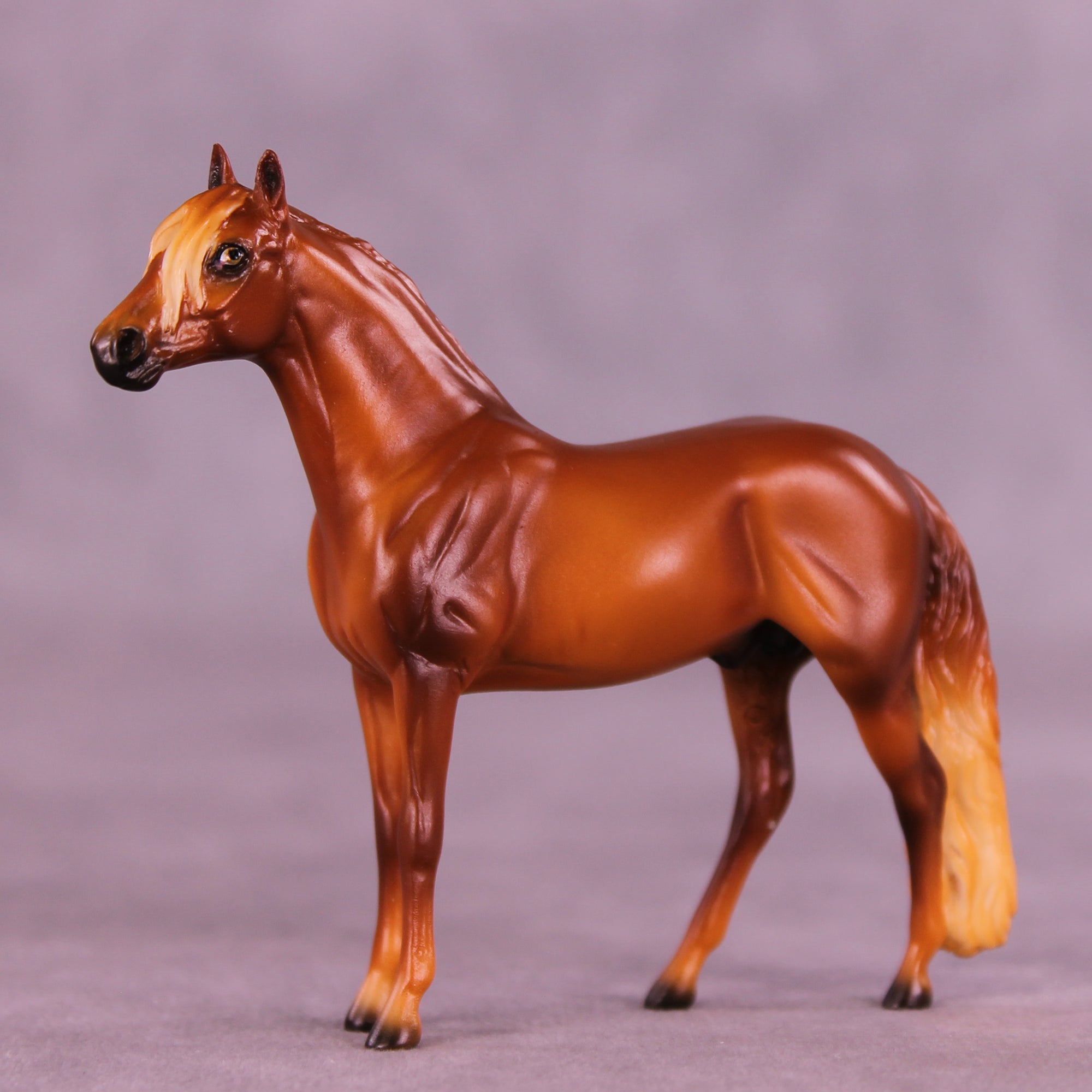 Florizel LE-5 Chip Andalusian by Ellen Robbins CL25