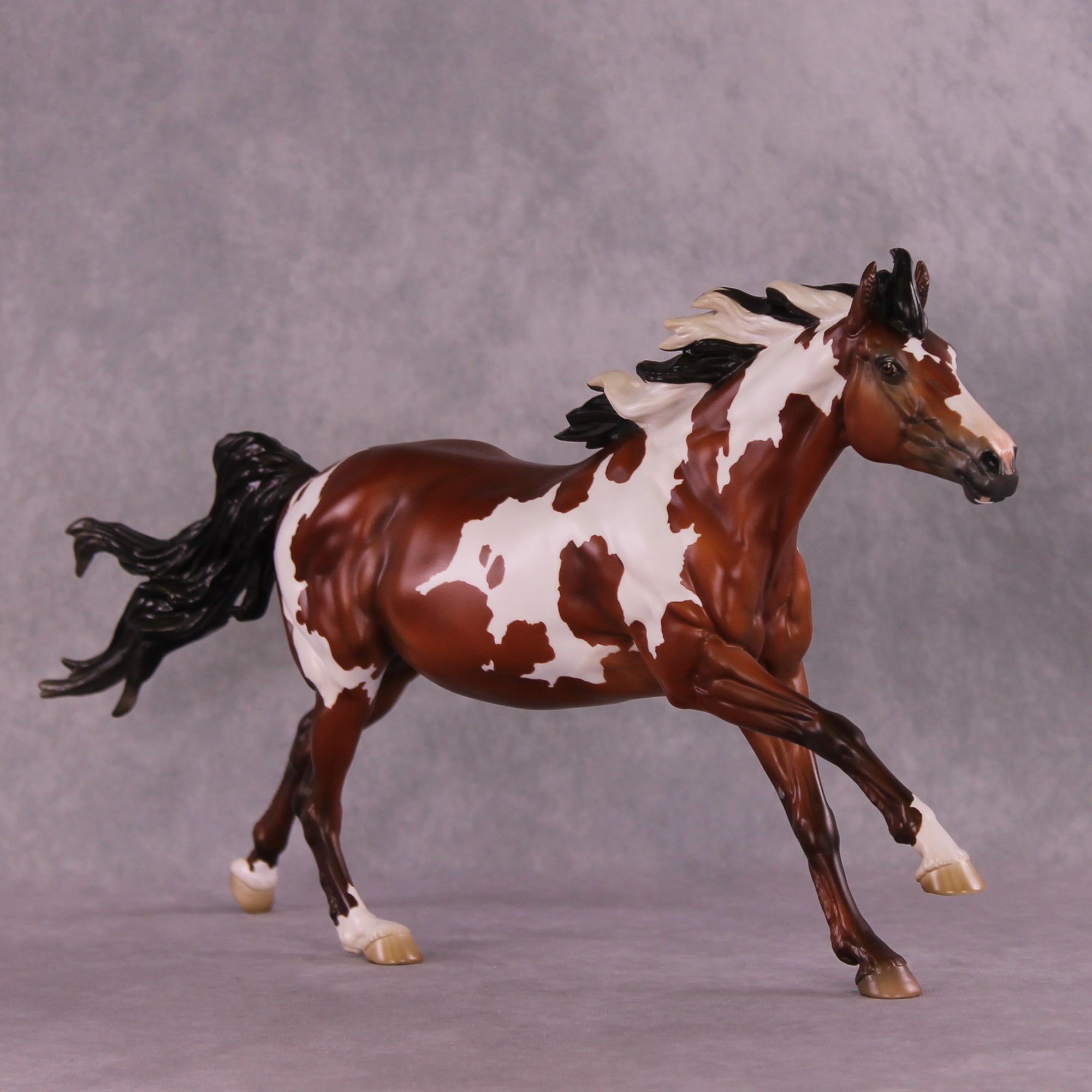 Muse LE-5 FCM Volo by Jess Hamill MS25