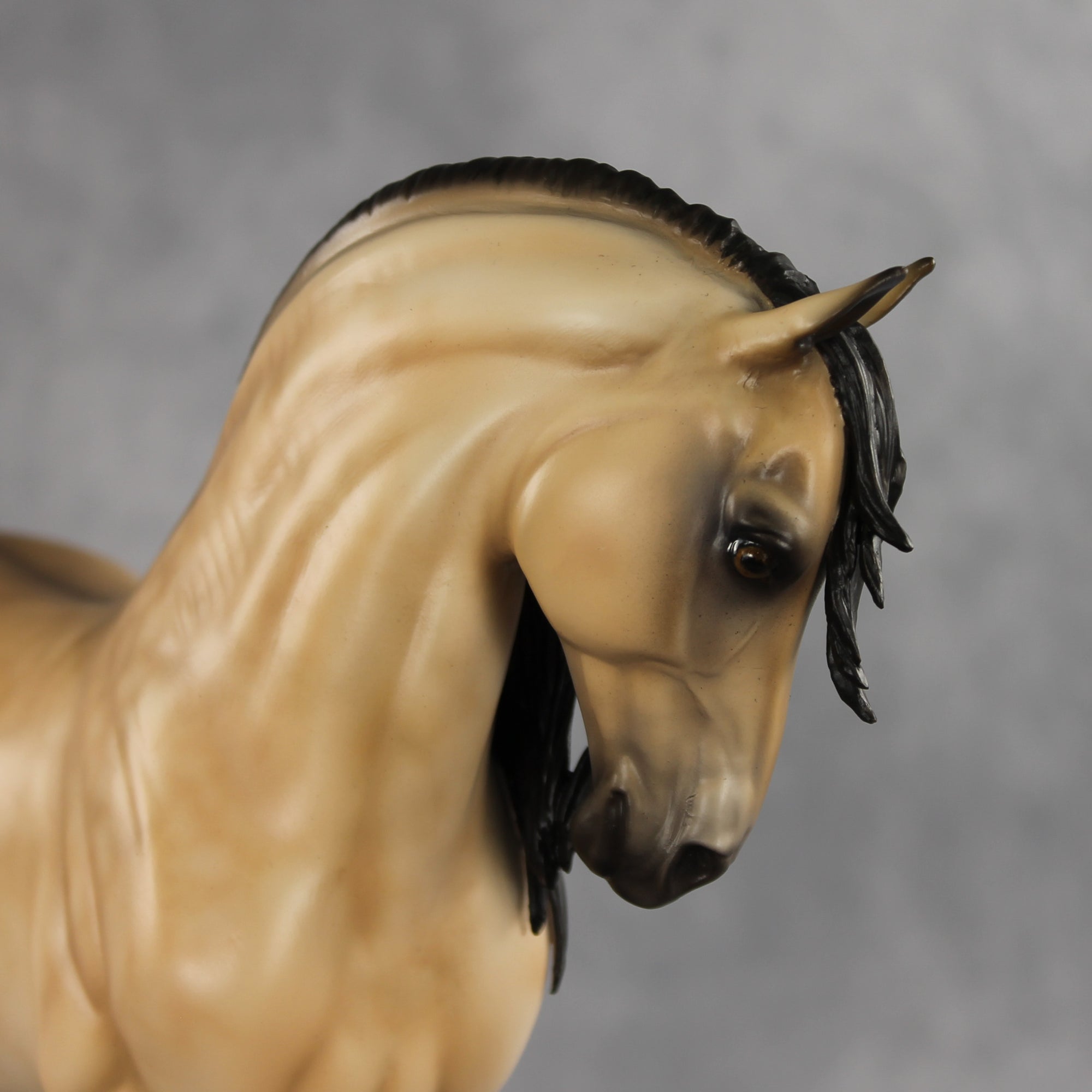 The Perfect Gentleman LE-5 EFCM Andalusian by Melanie Miller VV26