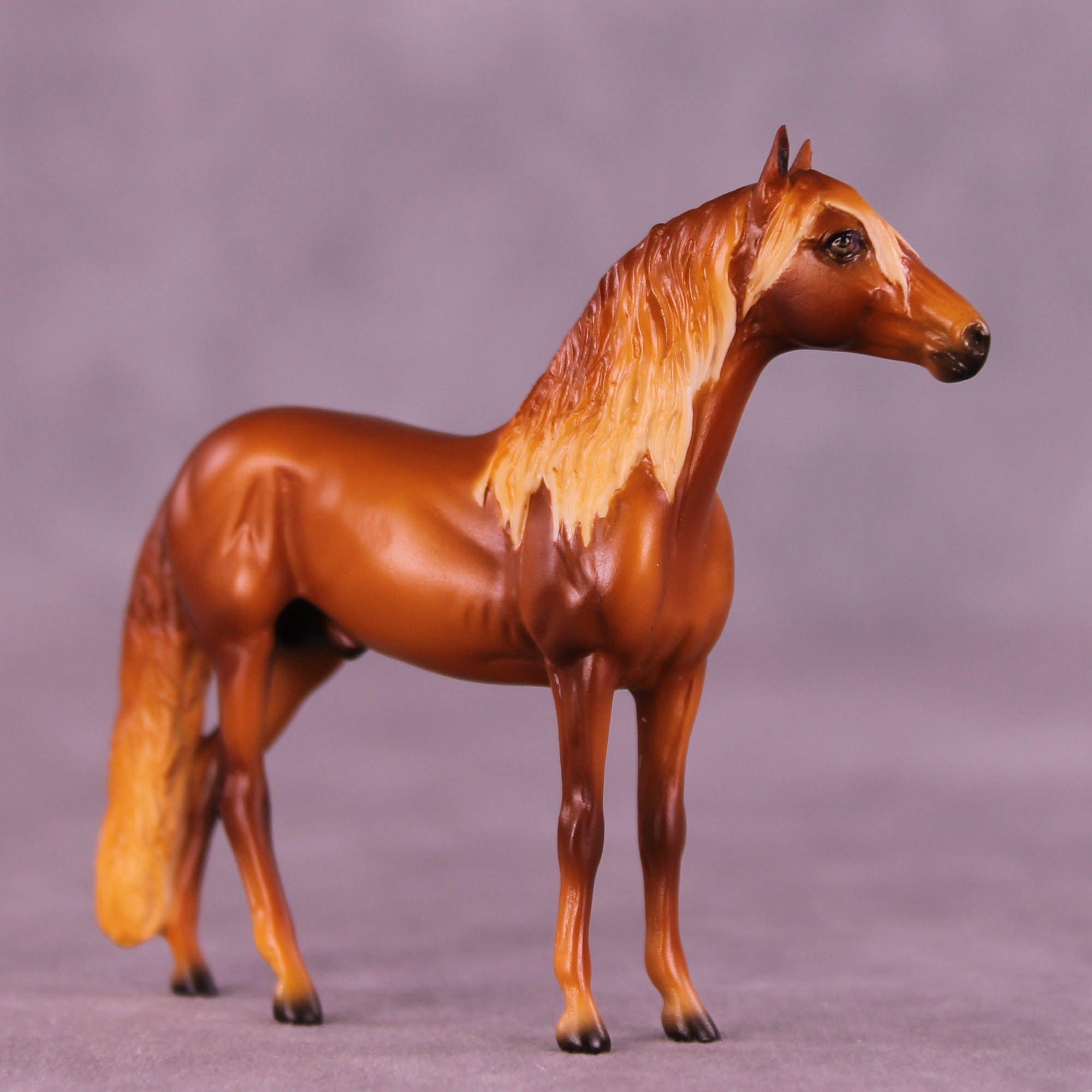 Florizel LE-5 Chip Andalusian by Ellen Robbins CL25