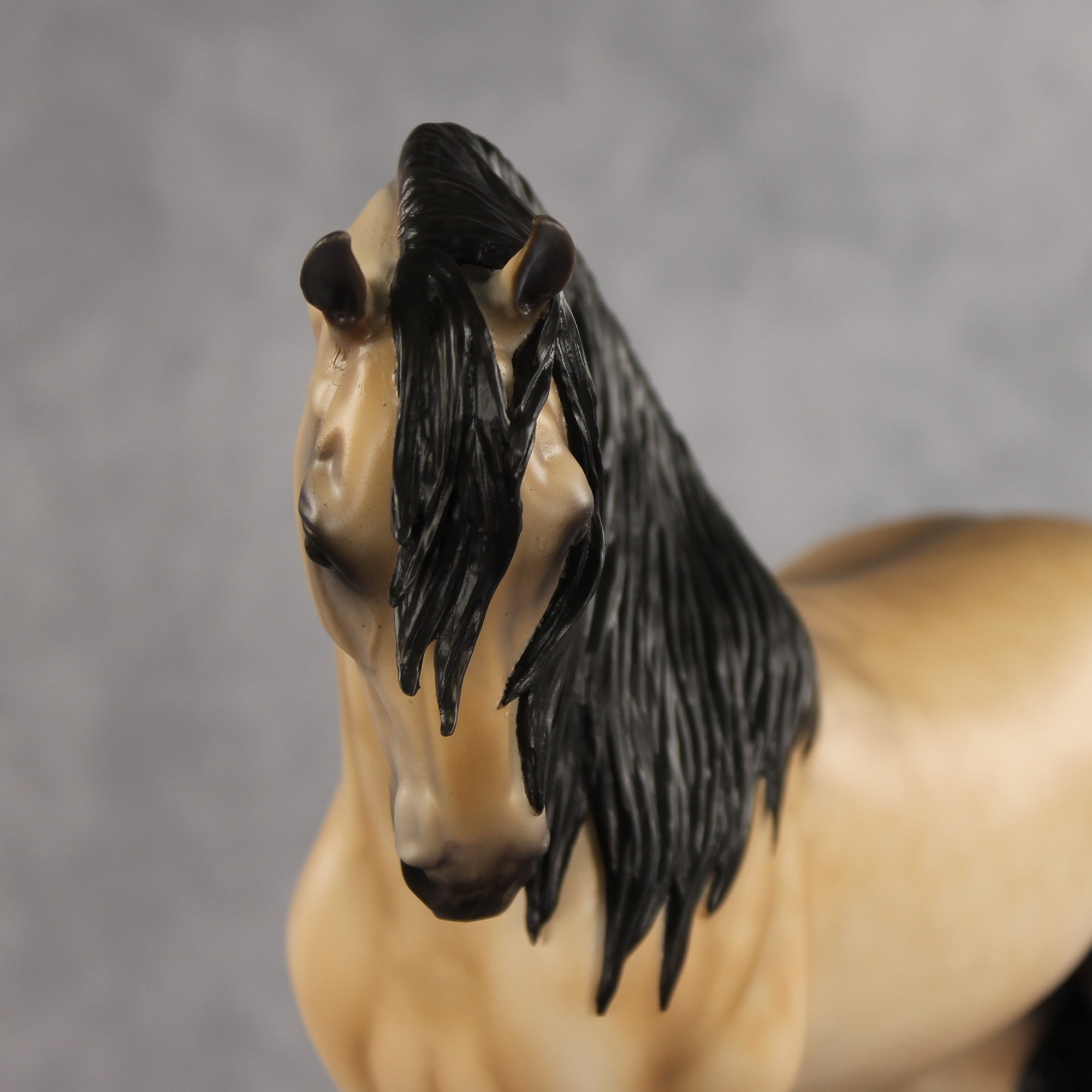 The Perfect Gentleman LE-5 EFCM Andalusian by Melanie Miller VV26