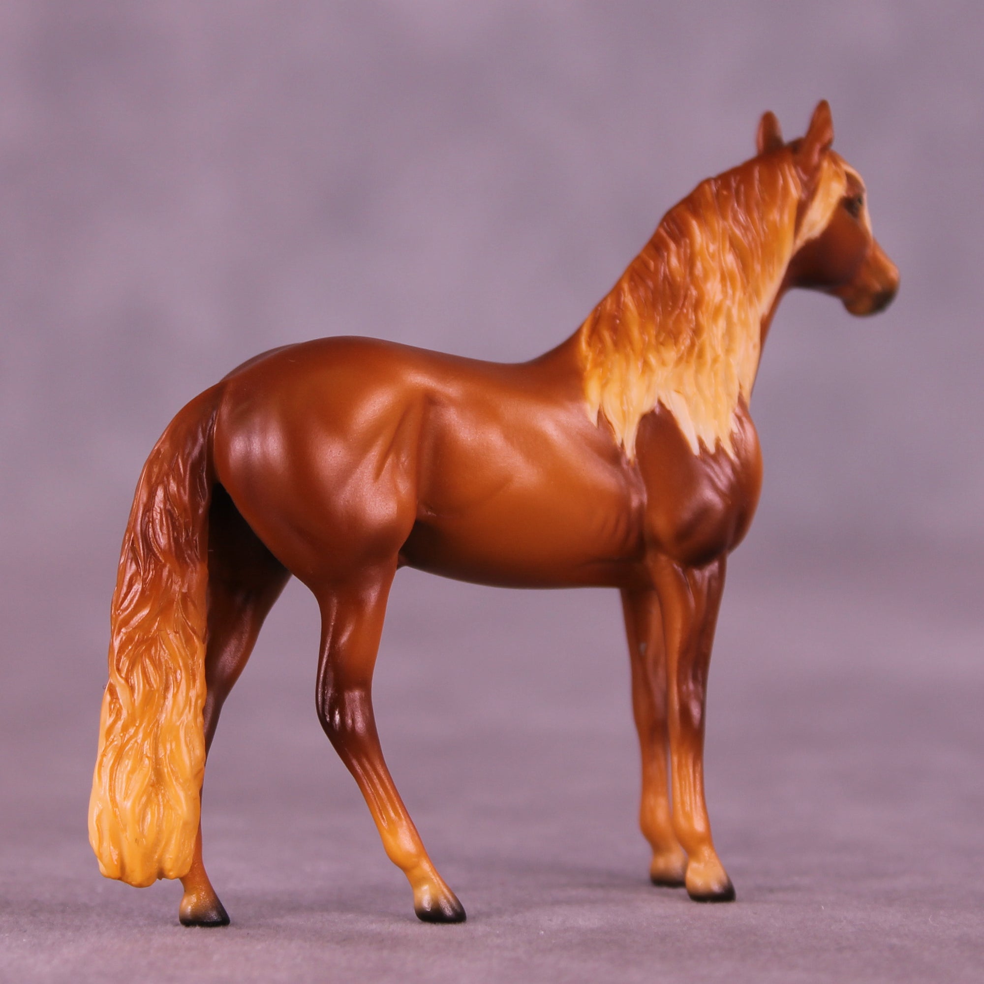 Florizel LE-5 Chip Andalusian by Ellen Robbins CL25