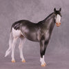 &quot;Pongo&quot; OOAK ISH by Ashley Palmer EQ25 Auction 07/15/25